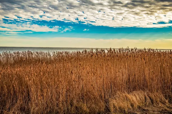 Baltık Denizi güzel gün batımı