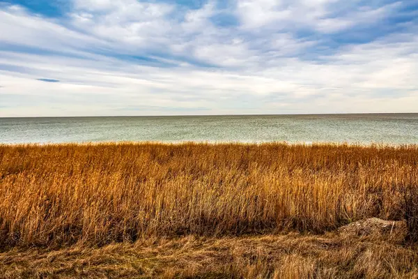 Deniz kıyısının güzel manzarası