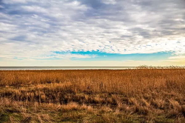 Bir gölü ve bir ağacı olan güzel bir manzara.