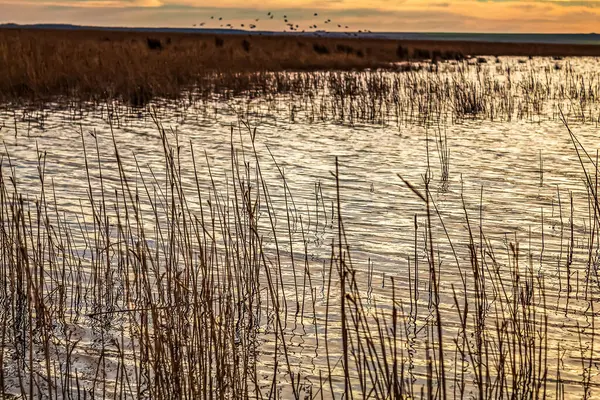Gölde gün batımı