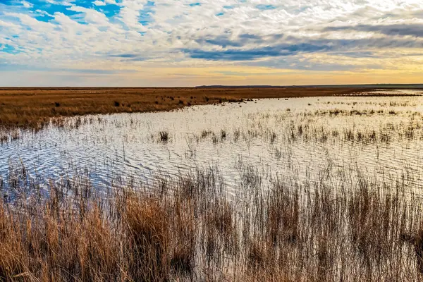 Gün batımında güzel bir nehrin dikey görüntüsü.