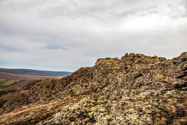 Arkasında bir dağ olan güzel bir manzara.