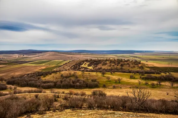 Bir tarlası ve bulutlu gökyüzü olan güzel bir manzara.