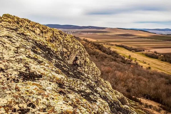 Gökyüzünün arka planında büyük bir ağaç olan bir dağın kayalık tepelerinin güzel manzarası.