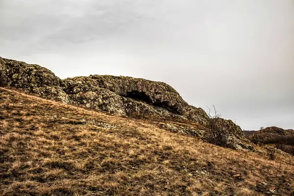 Önünde küçük bir ağaç olan kayalık bir tepe.