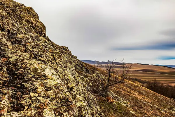 Dağları ve mavi gökyüzü olan güzel bir manzara.