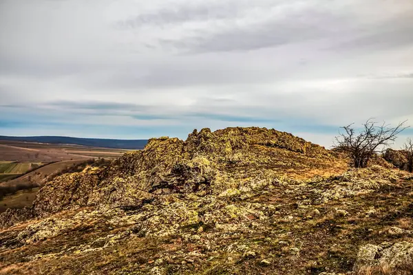 Karpat Dağları 'ndaki güzel dağ manzarası