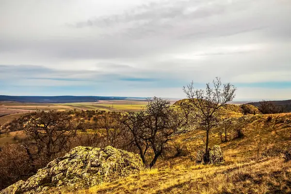 Arka planda bir nehir ve ağaç olan güzel bir manzara.