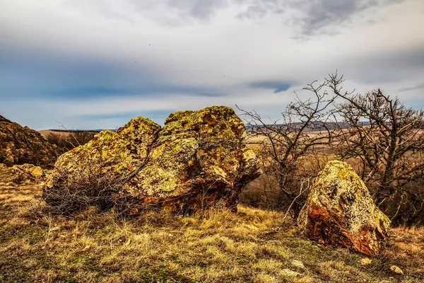Nehir ve gölü olan güzel bir manzara.
