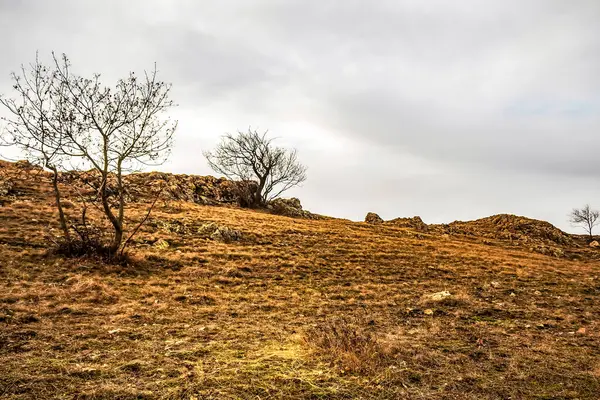 Bir tepe ve önplanda küçük bir ağaç olan bir dağ manzarası ve önplanda bulutlu bir gökyüzü.