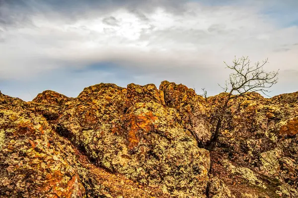 Kuzey İspanya 'da güzel bir dağ manzarası