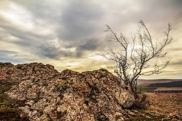 Arkasında bir dağ ve ağaç olan güzel bir manzara.