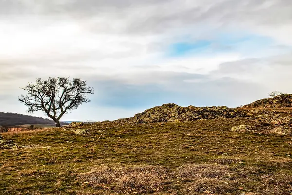 İrlanda adasının güzel manzarası.