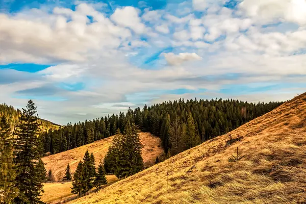 Dağları ve mavi gökyüzü olan güzel bir manzara.