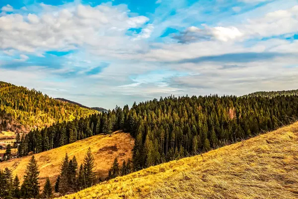 Karpat Dağları 'nın güzel manzarası. Dağlarda sonbahar ormanı.
