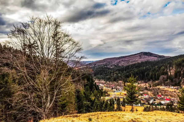 Slovakya 'daki dağdaki ormanın güzel bir görüntüsü, Tatra.