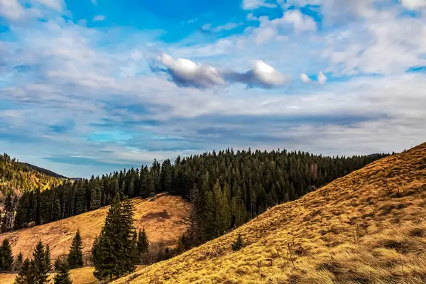 Dağlarda dağları olan güzel bir manzara.