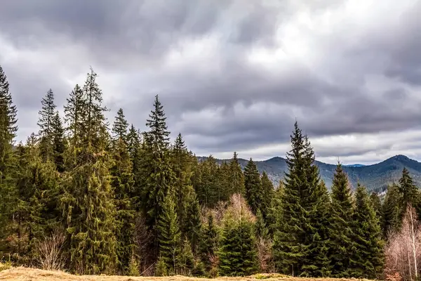 Karpatlar ve Romanya 'daki dağların güzel manzarası