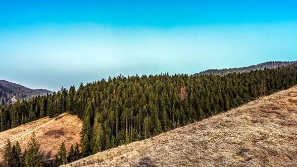 Güzel dağ manzarası