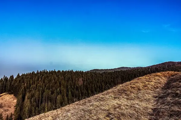 Dağlarda dağları olan güzel bir manzara.