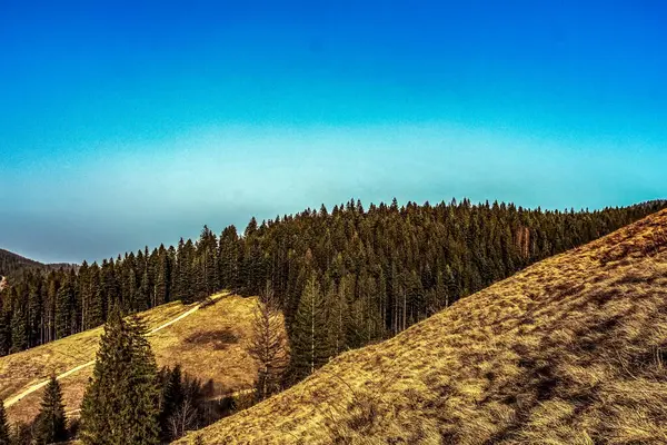 Dağları ve mavi gökyüzü olan güzel bir manzara.