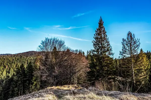 Karpatlar sonbaharda.