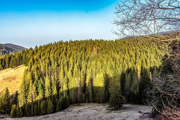 Karpat Dağları 'nın güzel manzarası