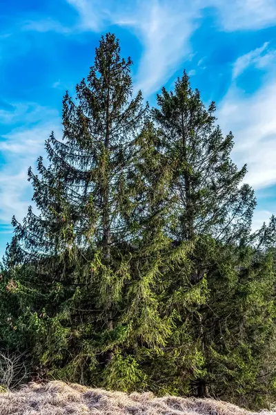 Doğanın güzel manzarası