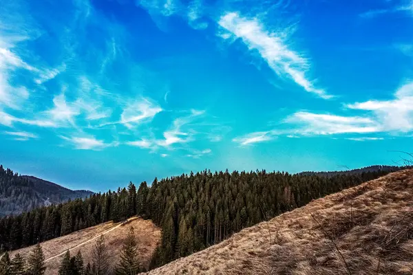Dağları ve mavi gökyüzü olan güzel bir manzara.
