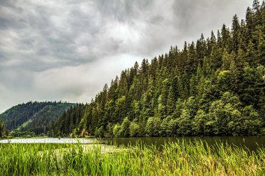 Yaz dağlarında güzel bir göl. Karpatyalı, Ukraynalı