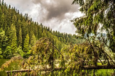 Doğanın güzel manzarası