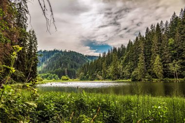 Bulutlu bir günde ağaçlar ve ormanlarla çevrili güzel bir göl görüntüsü.