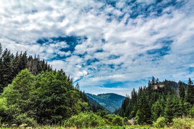 Dağlı güzel yaz manzarası