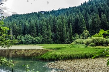 Ormanla çevrili dağ nehrinin güzel manzarası ve ön planda bulutlu bir gökyüzü.