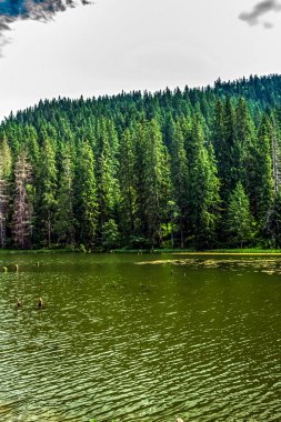 Güzel göl manzarası