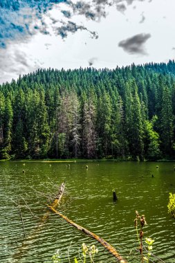 Güzel göl manzarası