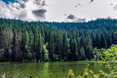 Göl ve dağlarla dolu güzel bir manzara.