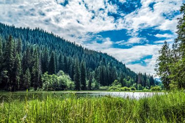 Güzel göl manzarası