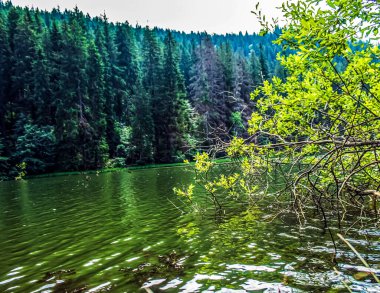 Doğanın güzel manzarası