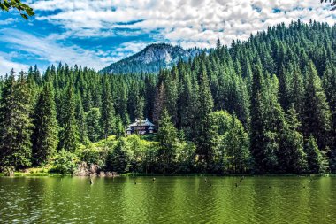 Alpler 'in gölü ve dağları