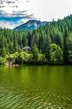 Dağlarda gölü olan güzel bir manzara.