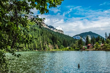 Manzaralar, Doğa, Avrupa, Doğu Avrupa, Romanya