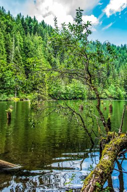 Dağlardaki güzel göl