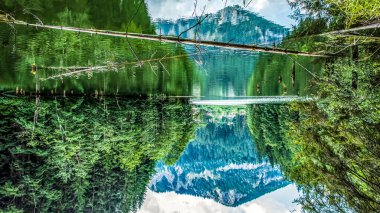 Orman ve dağ gölü