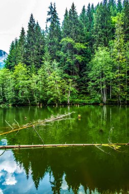 Dağlarda gölü olan güzel bir manzara.