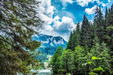 Bir yaz gününde güzel bir dağ gölü. yüksek tatra
