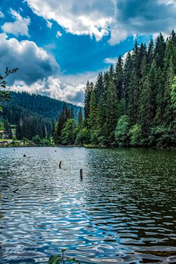 Ormandaki gölün güzel manzarası