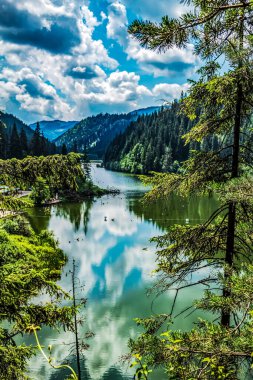 Ormanın ortasındaki göl.