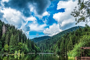 Ormanda göl, dağlarda göl, yaz manzarası.