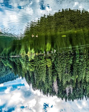 Göldeki ağaçların yansıması